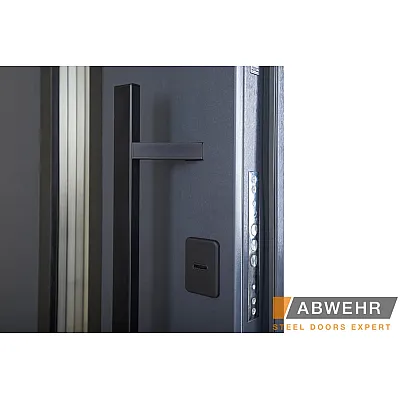 Вхідні Двері NEW COTTAGE З МЕТАЛОМ LAMPRE (KT(N)) (LP-5 Queen) Abwehr-9