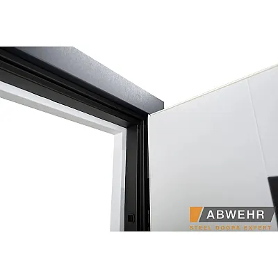 Входные Двери TERMIX (с терморазрывом) Revolution (LP-6) Abwehr-3