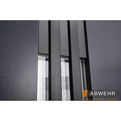 Входные Двери TERMIX (с терморазрывом) Revolution (LP-6) Abwehr-5