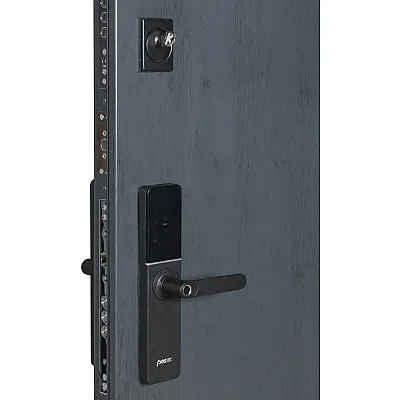 Входные Двери ТЕРМО HOUSE ЭЛЕКТРО 706/431 Vinorit 1200 Булат-5