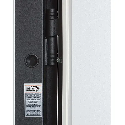 Входные Двери ТЕРМО HOUSE ЭЛЕКТРО 706/431 Vinorit 1200 Булат-9