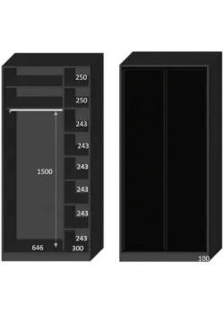 Вариант Шкафа-купе №45 07.01.2026