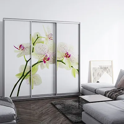 Мебель Шкаф-купе Виват B-206-4