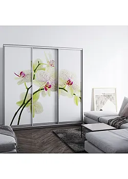 Меблі Шафа-купе Віват B-246