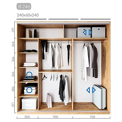 Мебель Шкаф-купе Виват B-246-1