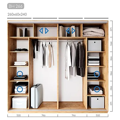 Мебель Шкаф-купе Виват BH-266-1