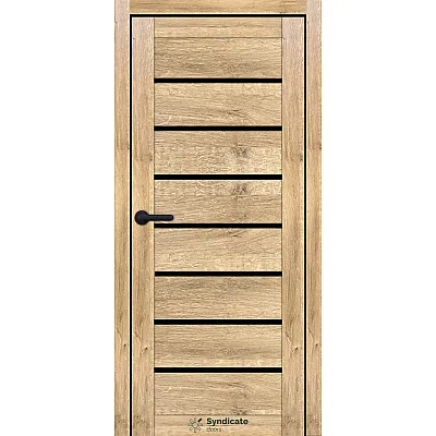 Міжкімнатні Двері SD-ECOTOP-102 BLK Syndicate Ламінатин-0