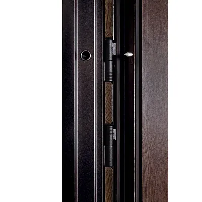 Вхідні Двері Тандем (квадро) 276 Дрімвуд темний/Дрімвуд темний гладкий Булат-6