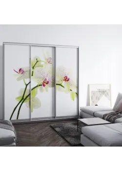 Мебель Шкаф-купе BГ-246