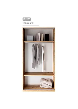 Мебель Шкаф-купе Виват B-1200