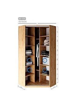 Мебель Шкаф-купе Виват BУ-1100