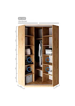 Мебель Шкаф-купе Виват BУ-1200