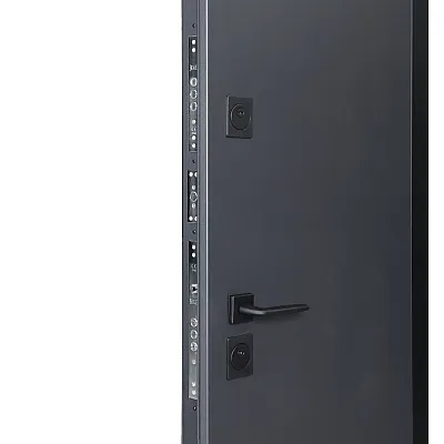 Вхідні Двері COTTAGE 710/265 Metalic anthracite/Вулична Антрацит сірий-5