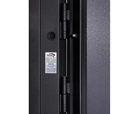 Вхідні Двері COTTAGE 710/265 Metalic anthracite/Вулична Антрацит сірий-2