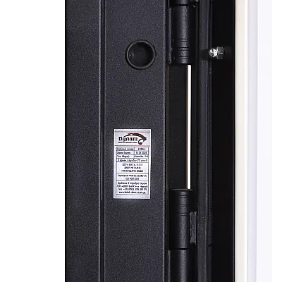 Вхідні Двері COTTAGE 710/265 Metalic anthracite/Вулична Білий Атласний-4