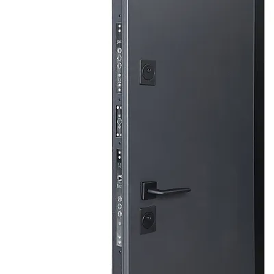 Вхідні Двері COTTAGE 705/431 Metalic anthracite/Вулична Білий Атласний-2