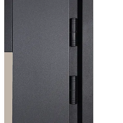 Вхідні Двері COTTAGE 705/431 Metalic anthracite/Вулична Білий Атласний-3