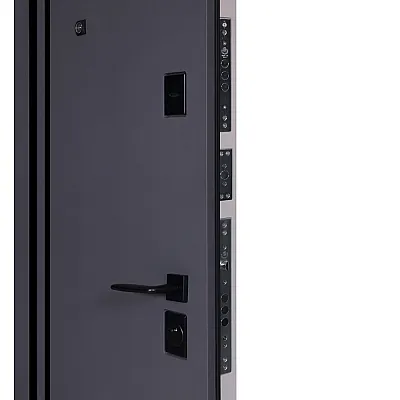 Вхідні Двері Ультра (квадро) Securemme 587/276 Мусонне дерево/Олово супермат-4