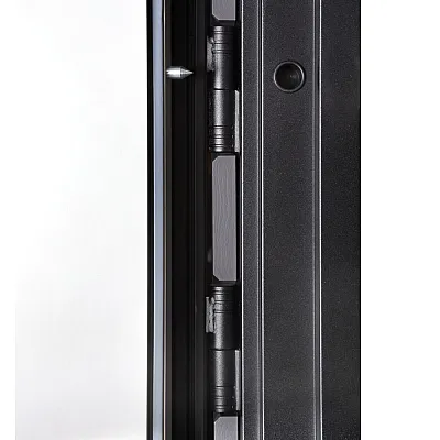 Вхідні Двері Ультра (квадро) Securemme 587/276 Мусонне дерево/Олово супермат-2