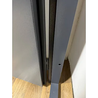 Вхідні Двері Еко Техно з молдингом "Redfort"-3