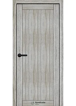 Двері SD-ECOTOP-170 Syndicate