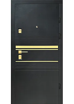 Двери БТ-41 Контур Входные