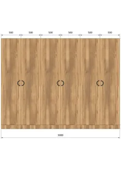 Вариант Шкафа распашного №106 03.03.2026