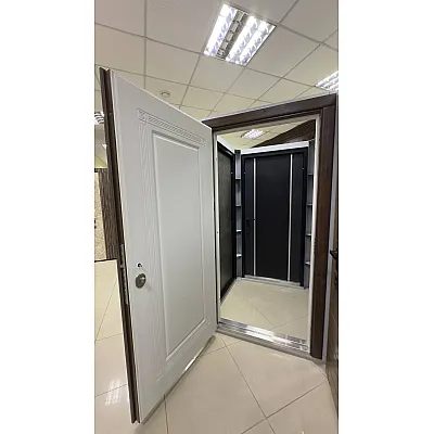 Входные Двери Измаил "Новый Мир"-1