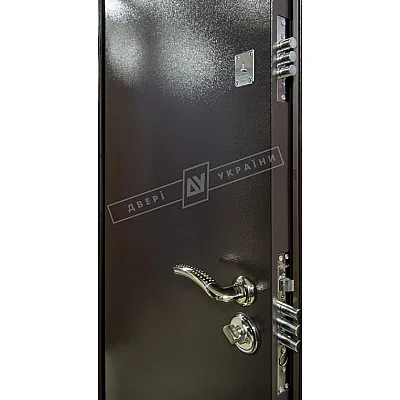 Входные Двери Флеш Салют 2 м/м RAL 8019 BARRERA + RICCARDI фурнитура: нержавеющая сталь Двери Украины-2