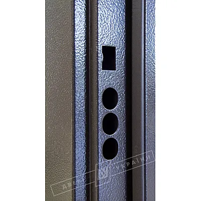 Входные Двери Флеш Салют 2 м/м RAL 8019 BARRERA + RICCARDI фурнитура: нержавеющая сталь Двери Украины-5