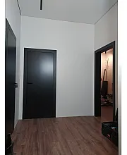 Межкомнатные Двери Modern EM 1 Family Doors Краска