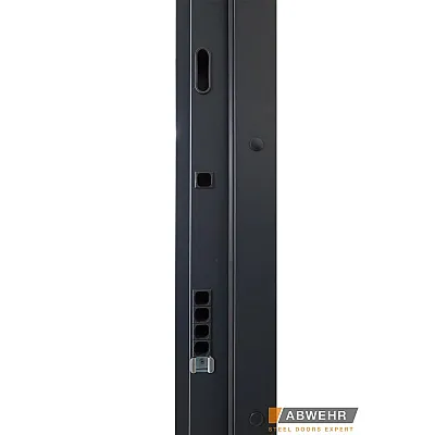 Вхідні Двері Bionica 2 LAMPRE (LP-3) ПГ Abwehr-3