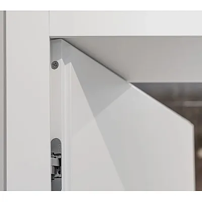 Межкомнатные Двери Loft 00 Danapris Краска-4