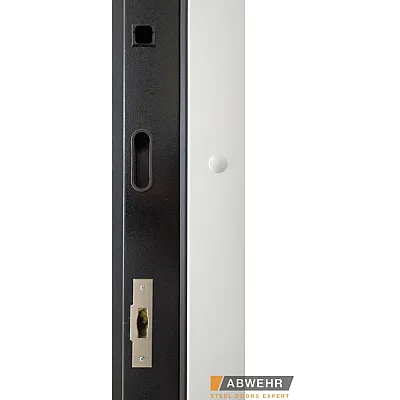 Входные Двери BIONICA 2 (BN2) LAMPRE (LP-5) антрацит Abwehr-2