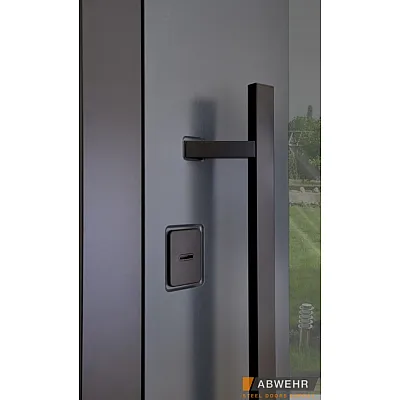 Входные Двери BIONICA 2 (BN2) LAMPRE (LP-5) антрацит Abwehr-10