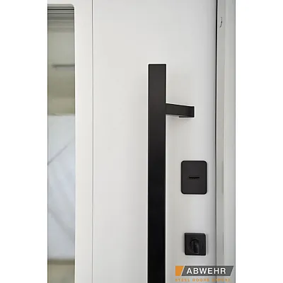 Входные Двери BIONICA 2 (BN2) LAMPRE (LP-5) антрацит Abwehr-8