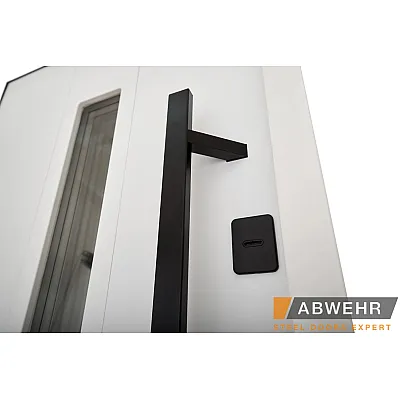 Входные Двери BIONICA 2 (BN2) LAMPRE (LP-5) антрацит Abwehr-7