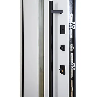 Входные Двери BIONICA 2 (BN2) LAMPRE (LP-5) антрацит Abwehr-6