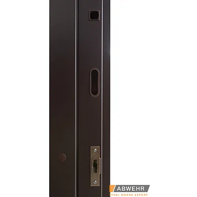 Вхідні Двері BIONICA 2 (BN2) LAMPRE (LP-6) дуб темний Abwehr-6