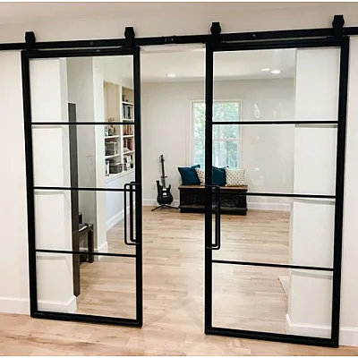 Межкомнатные Двери RockWood Design MetalGlass 5 Стеклянные-0