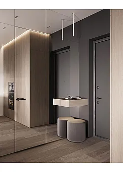 Двери RockWood Glass Hide С зеркалом