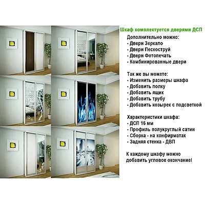 Шкафы-купе Деликатес DeNira 11-2-4