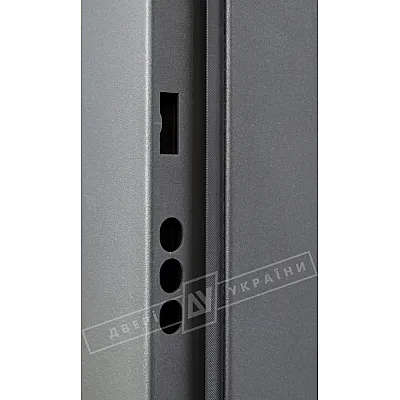 Входные Двери GRAND HOUSE 56 mm Прованс 6 "Двери Украины"-4