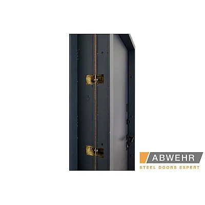 Вхідні Двері Bionica 2 LAMPRE (LP-3) ПГ Abwehr-2
