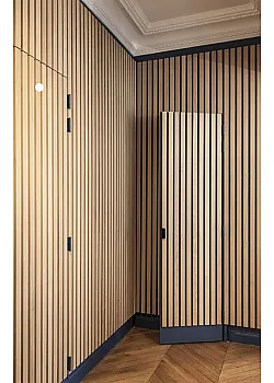 Двери RockWood Design с рейками Rail 1