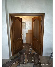 Двери 8 ПО дуб тонированный Terminus