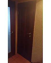 Двери Дельта ПГ БС НСД Двери