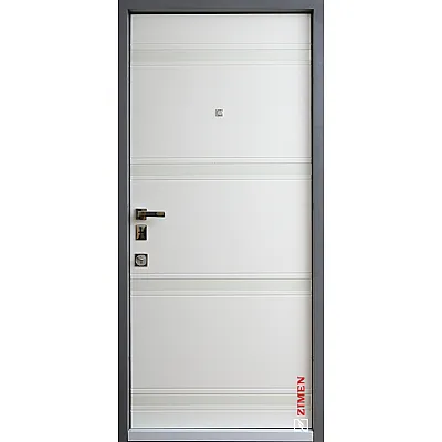 Входные Двери Studio 2 цвета Zimen-1