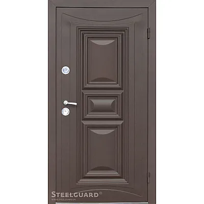 Входные Двери Termoskin Light 2 цвета Steelguard-1