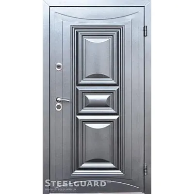 Входные Двери Termoskin Light 2 цвета Steelguard-2